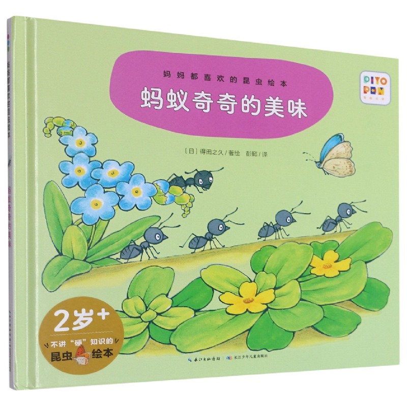 蚂蚁奇奇的美味（精）/妈妈都喜欢的昆虫绘本