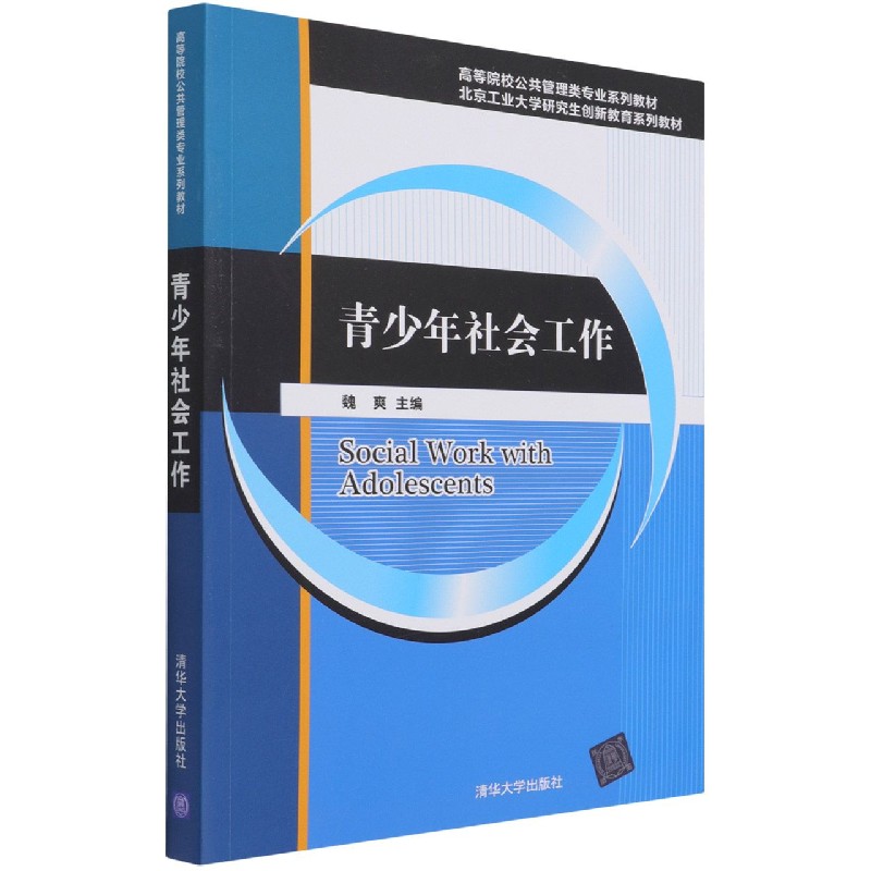 青少年社会工作(高等院校公共管理类专业系列教材)