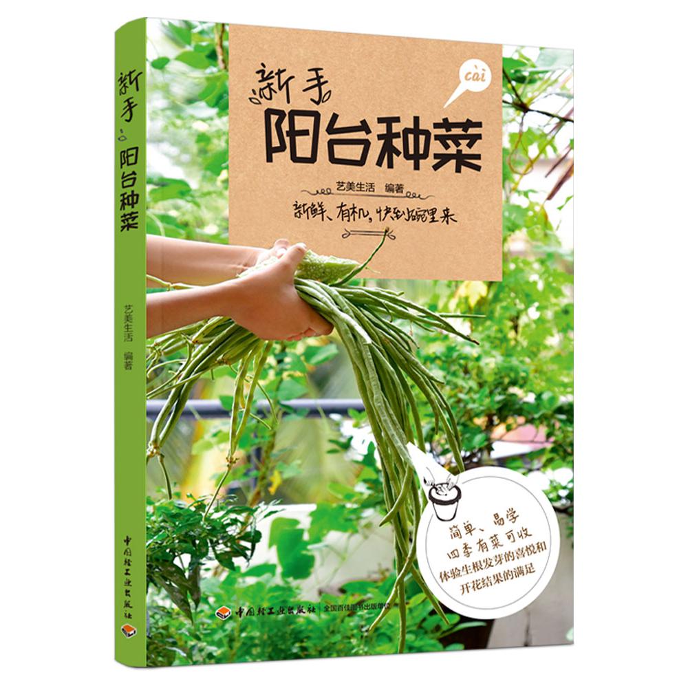 新手阳台种菜