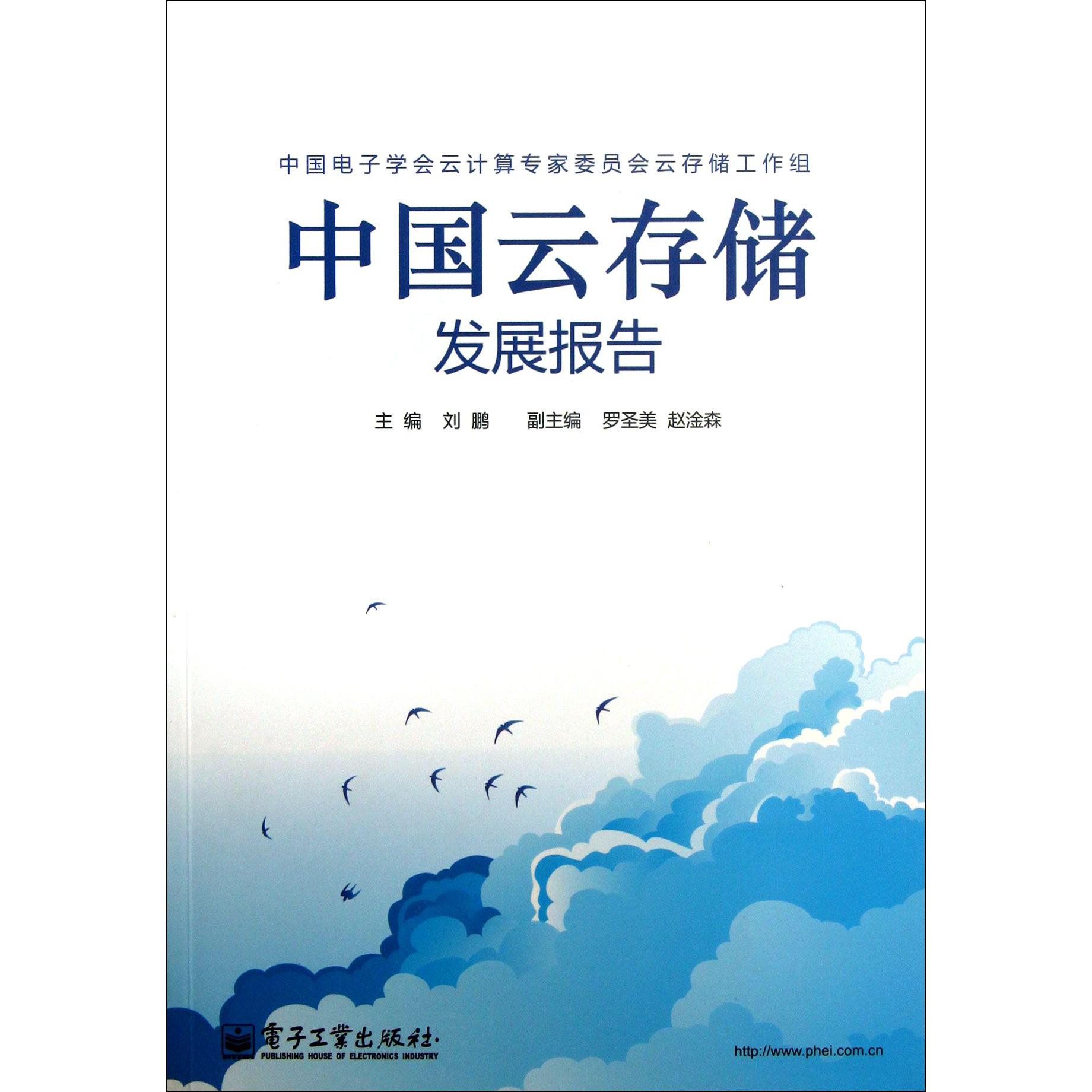 中国云存储发展报告