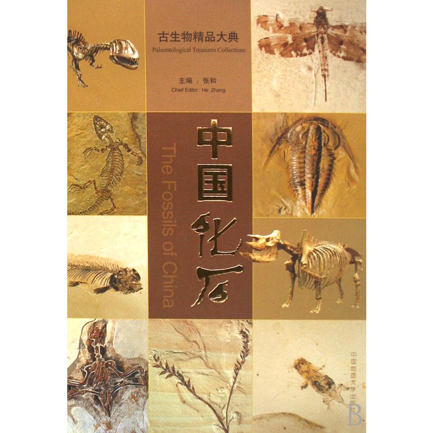 中国化石（古生物精品大典）（精）