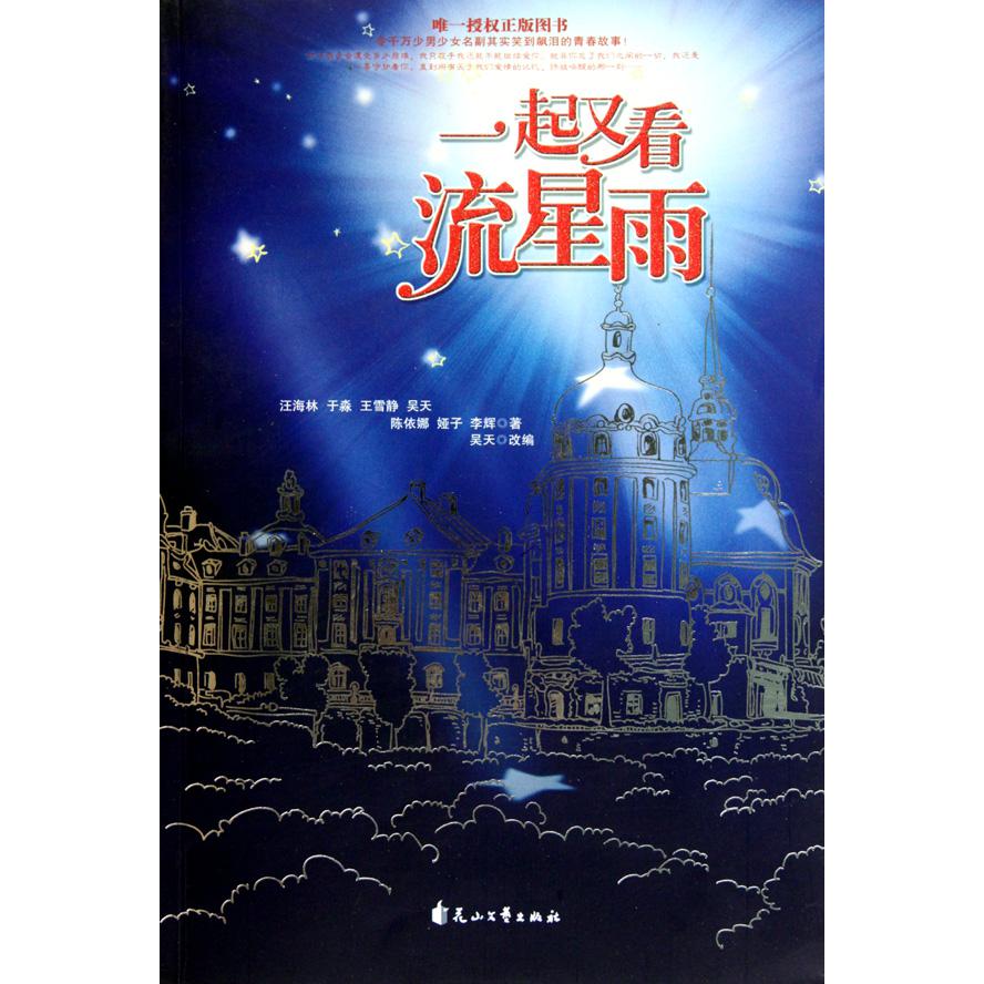 一起又看流星雨