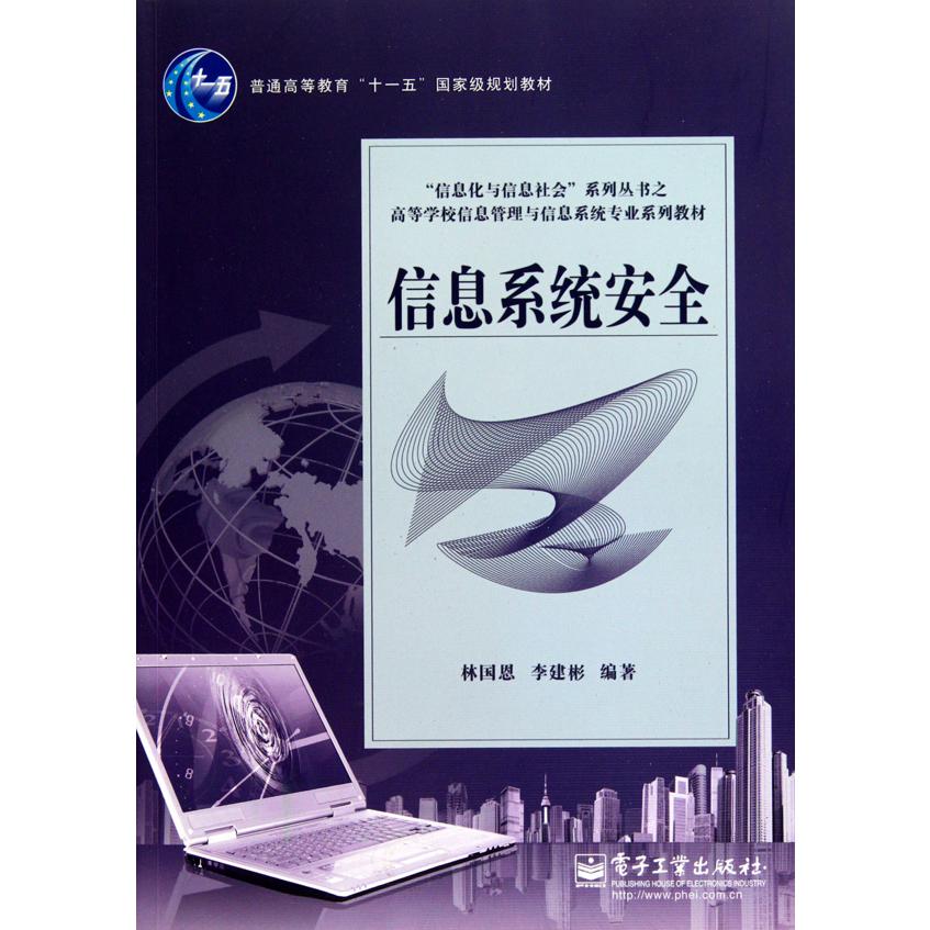 信息系统安全（高等学校信息管理与信息系统专业系列教材）/信息化与信息社会系列丛书