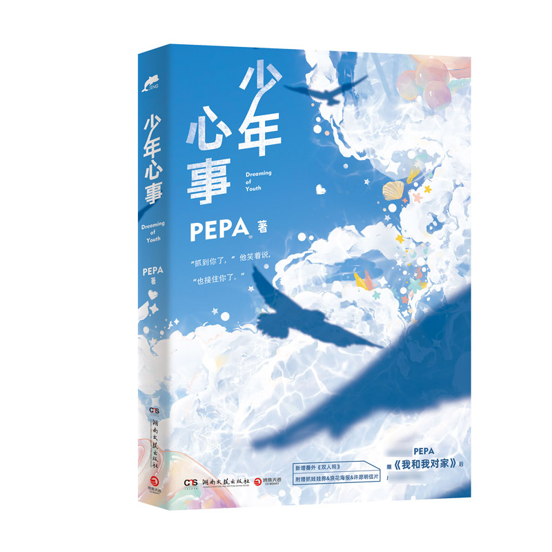 少年心事  特签飞机盒