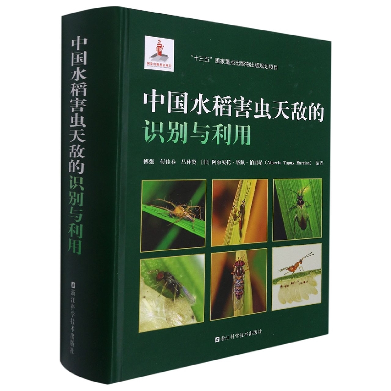 中国水稻害虫天敌的识别与利用（精）