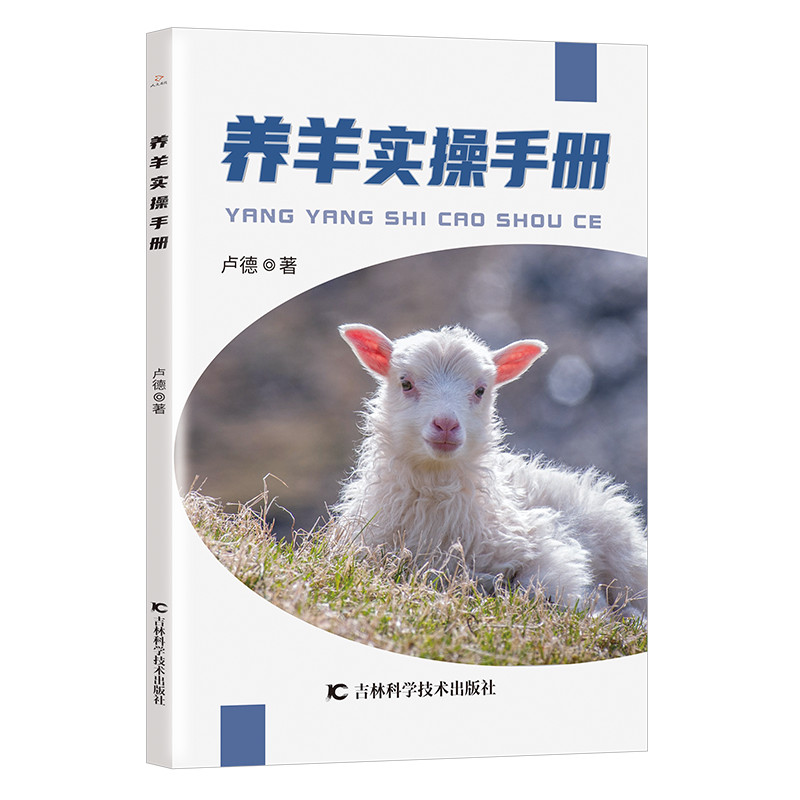 养羊实操手册