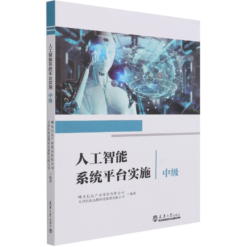 人工智能系统平台实施（中级）