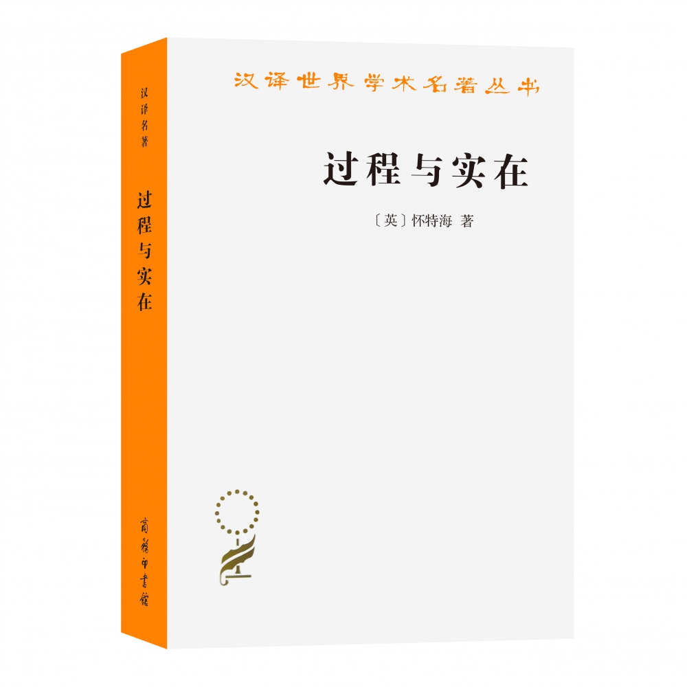过程与实在/汉译世界学术名著丛书