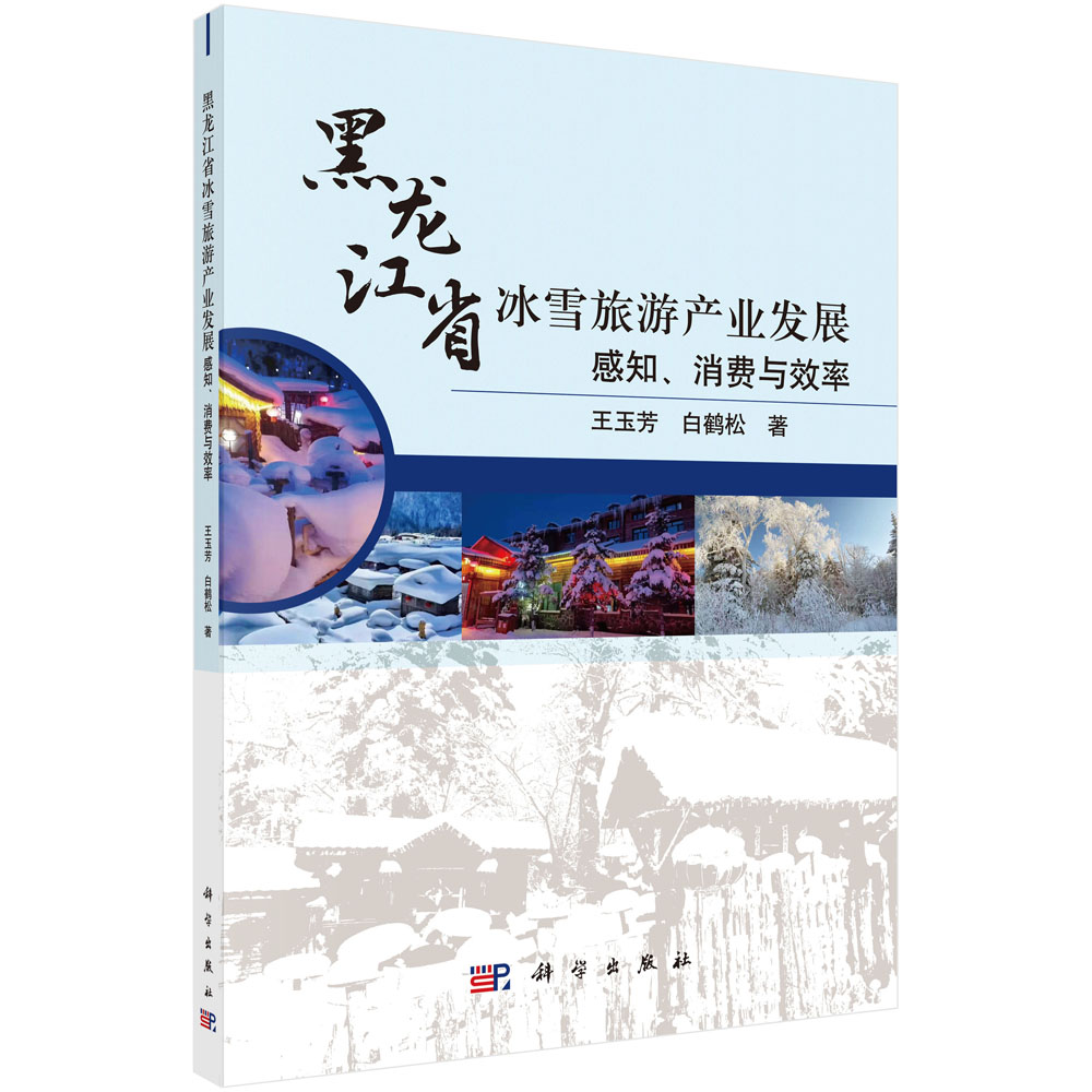 黑龙江省冰雪旅游产业发展（感知消费与效率）