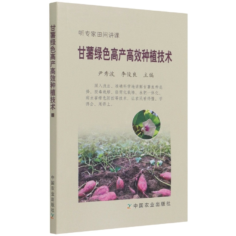 甘薯绿色高产高效种植技术（听专家田间讲课）