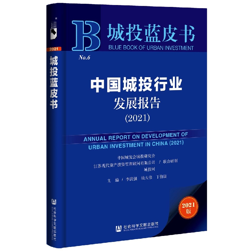中国城投行业发展报告（2021）