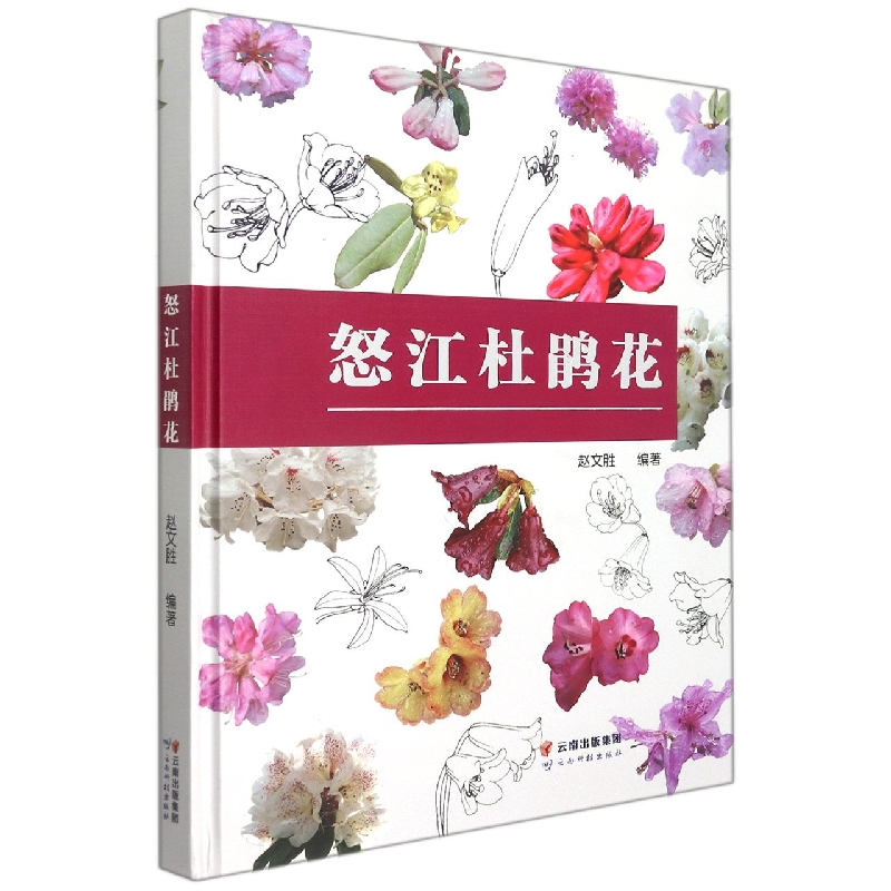怒江杜鹃花