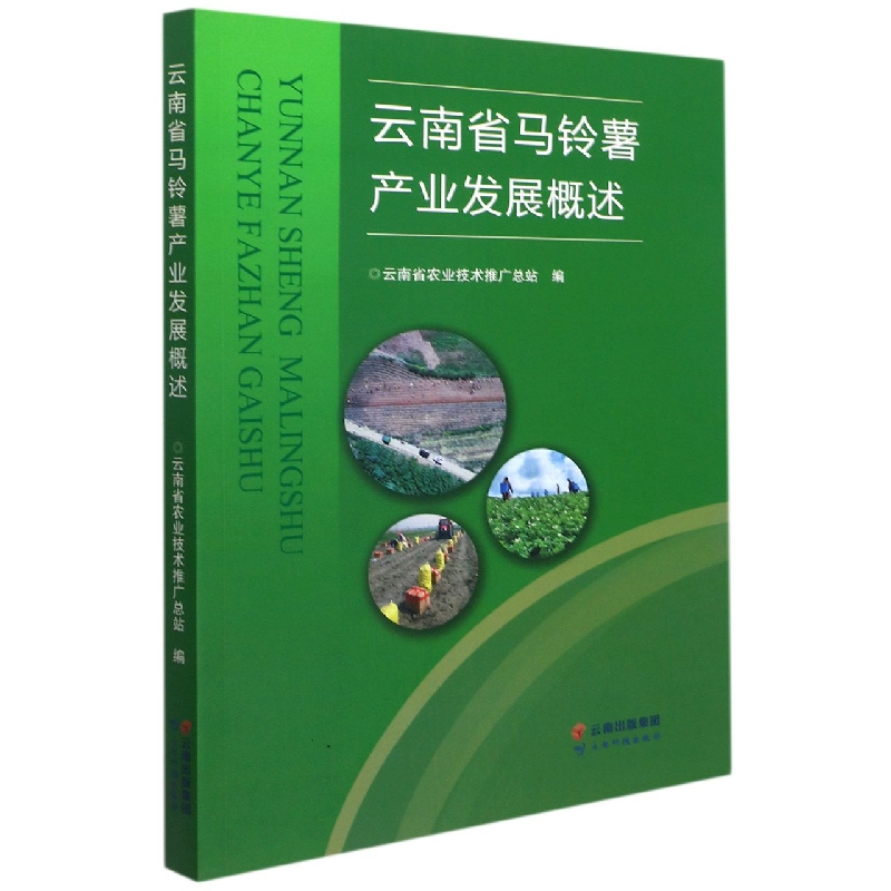 云南省马铃薯产业发展概述