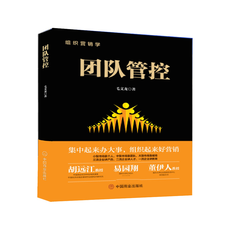团队管控(精)/组织营销学