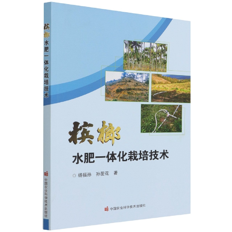 槟榔水肥一体化栽培技术