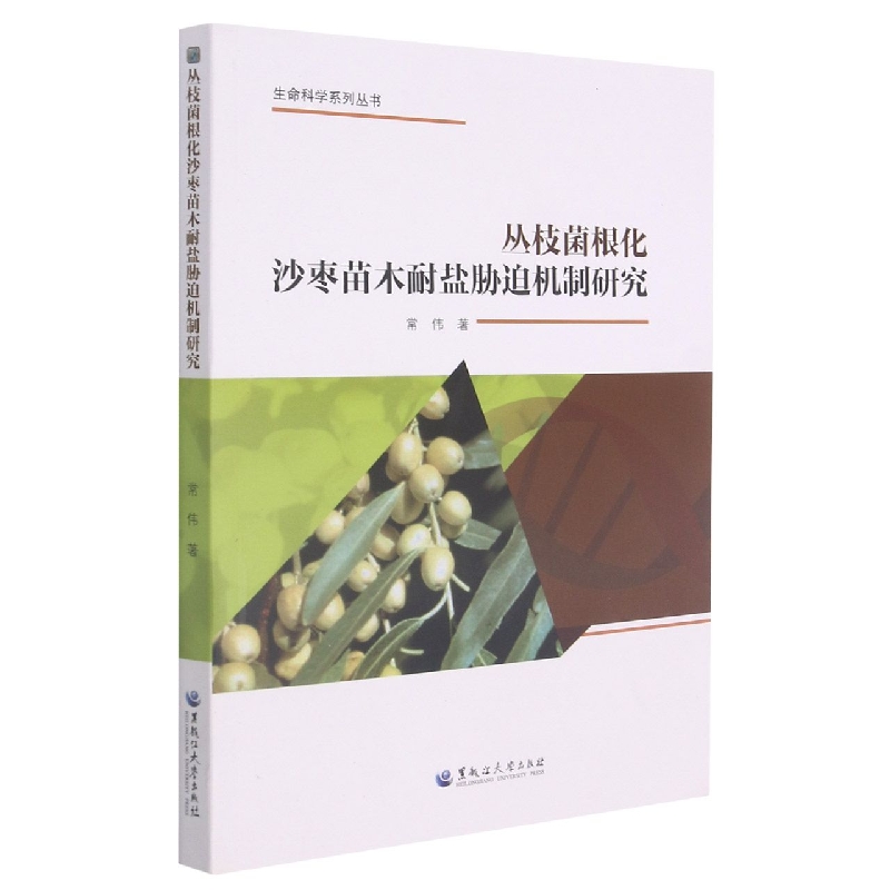 丛枝菌根化沙枣苗木耐盐胁迫机制研究