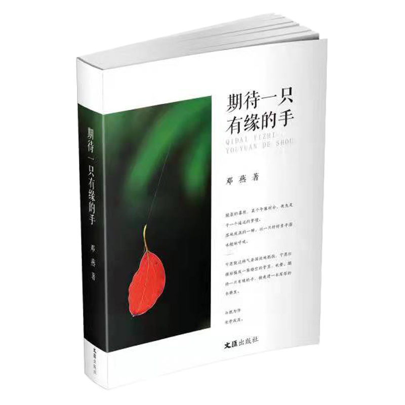 期待一只有缘的手