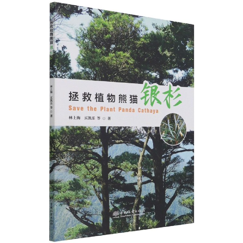 拯救植物熊猫银杉