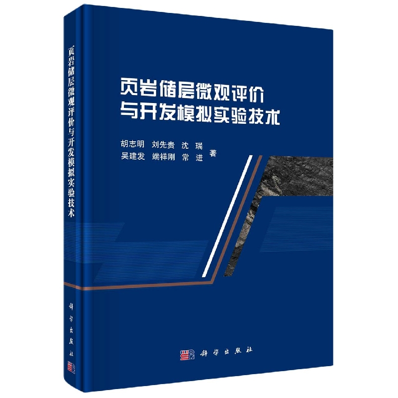 页岩储层微观评价与开发模拟实验技术（精）