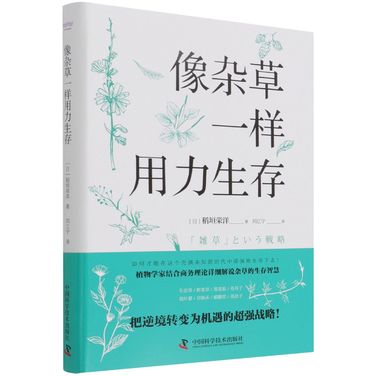 像杂草一样用力生存