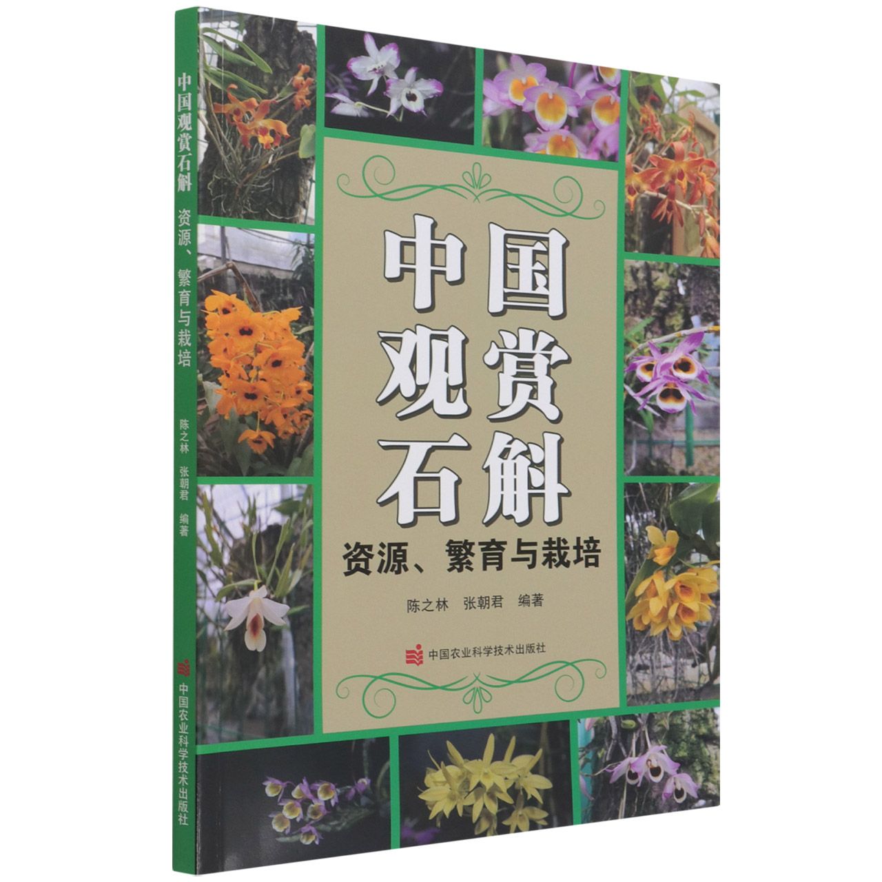 中国观赏石斛——资源、繁育与栽培