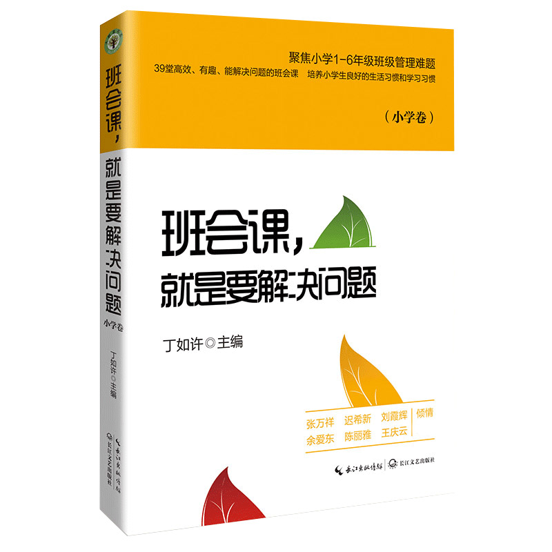 班会课,就是要解决问题(小学卷)(大教育书系)