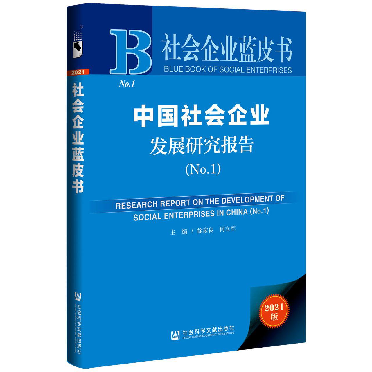 中国社会企业发展研究报告（No.1）