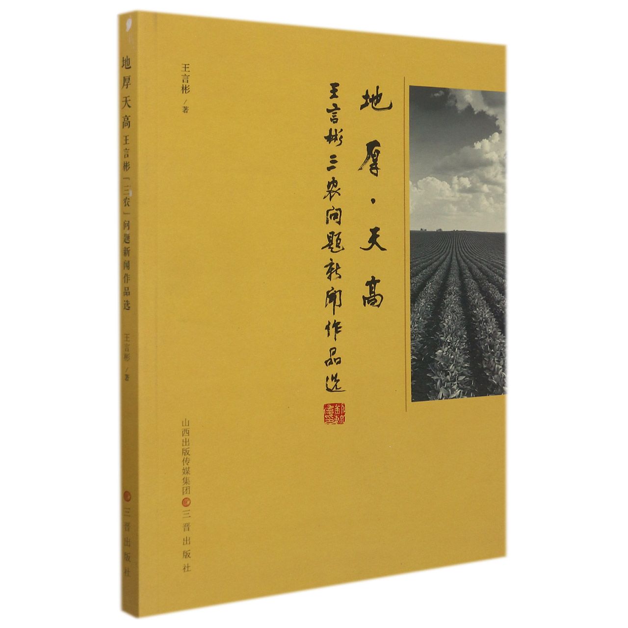 地厚天高(王言彬三农问题新闻作品选)