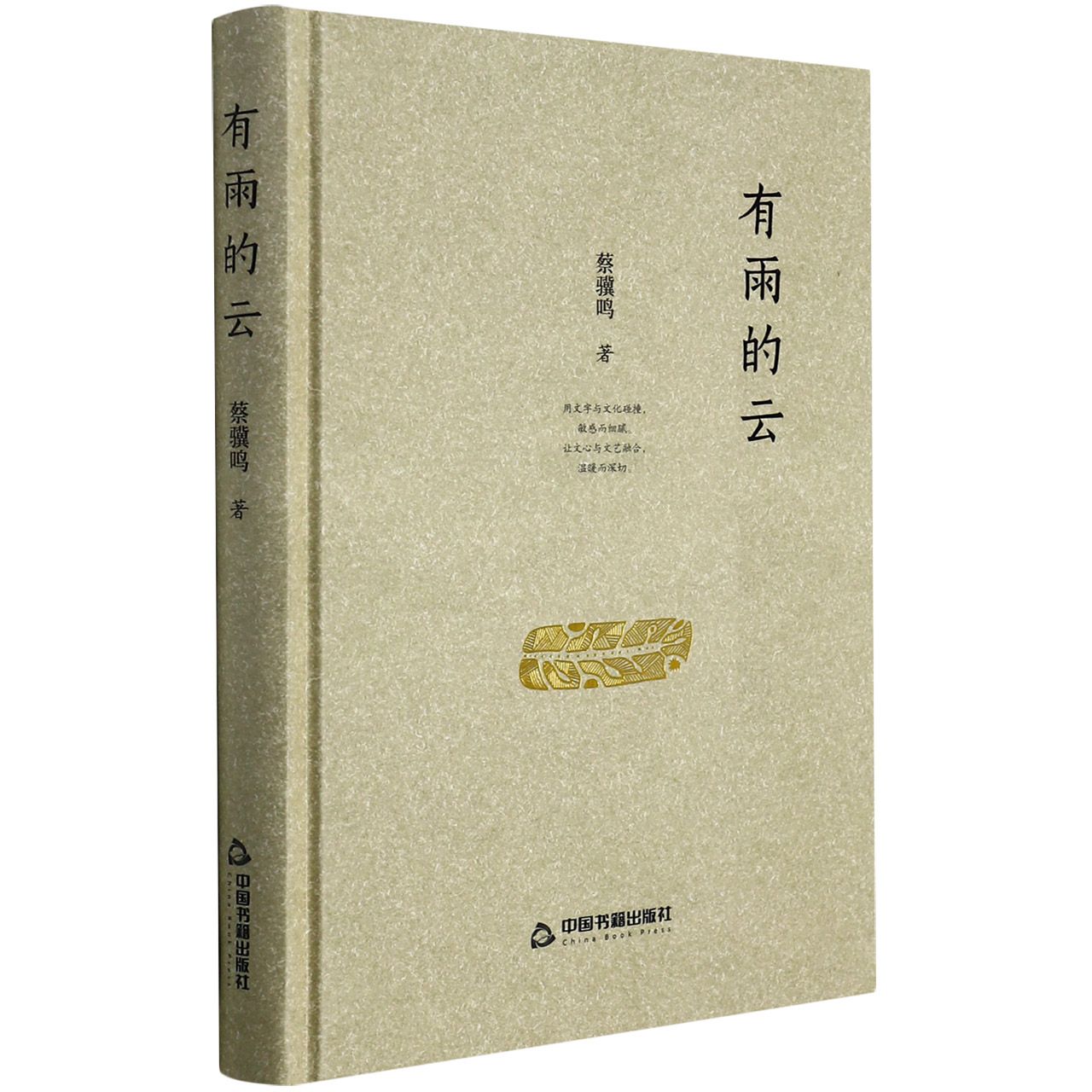 有雨的云