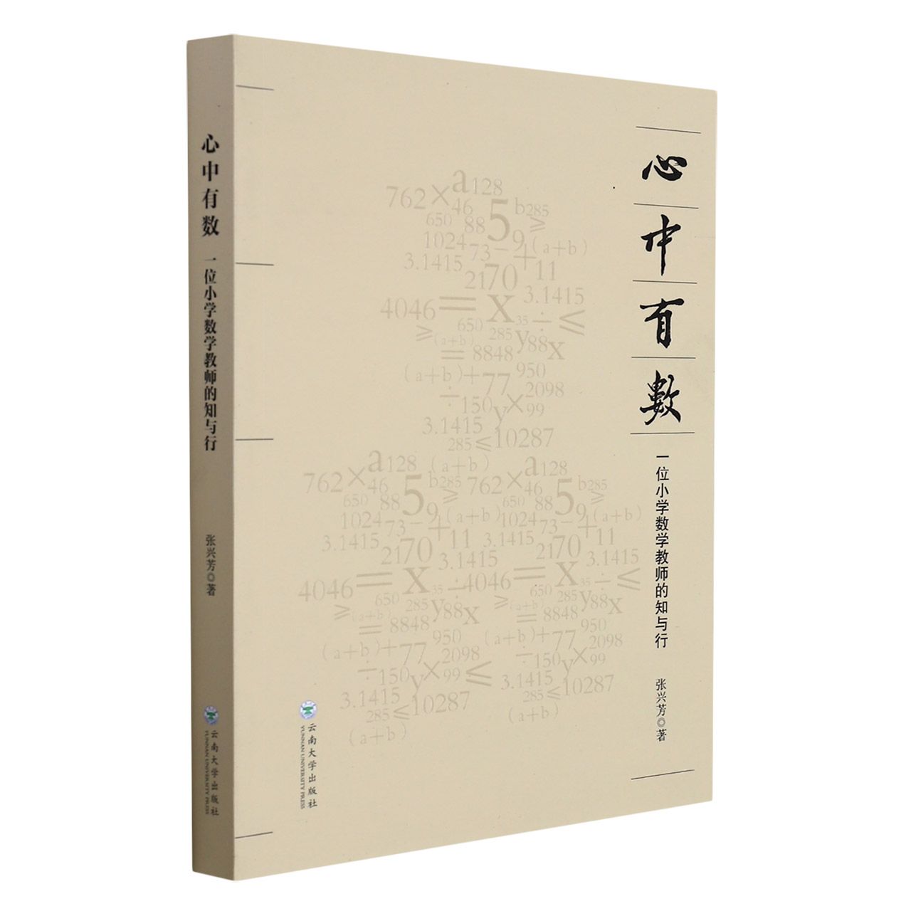 心中有数 一位小学数学教师的知与行