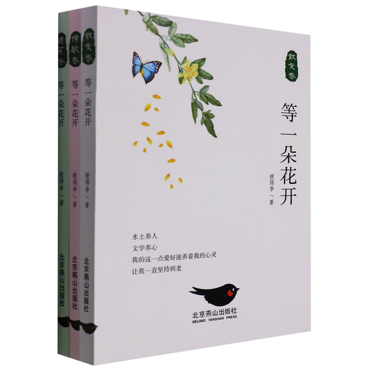 等一朵花开（全3卷）