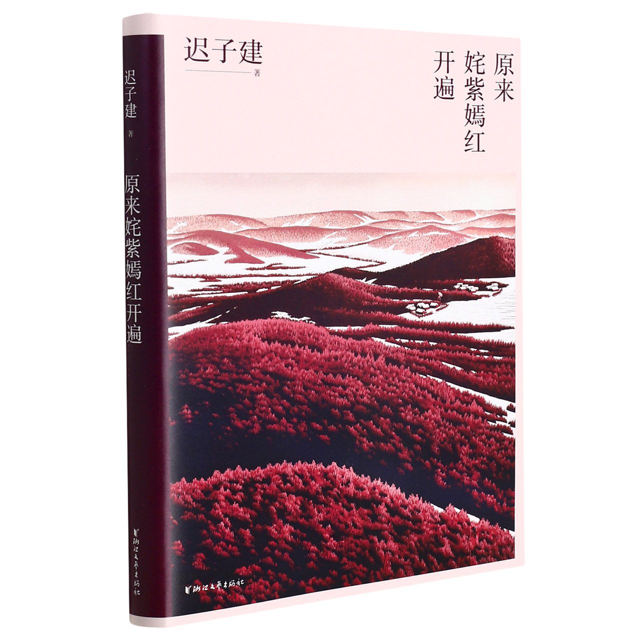 原来姹紫嫣红开遍