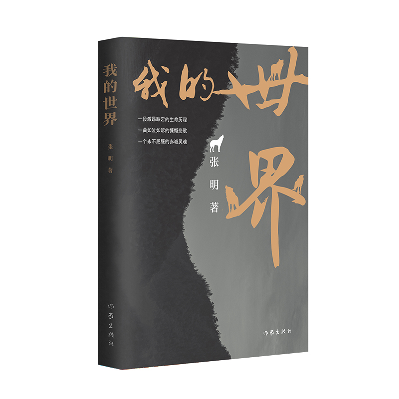 我的世界