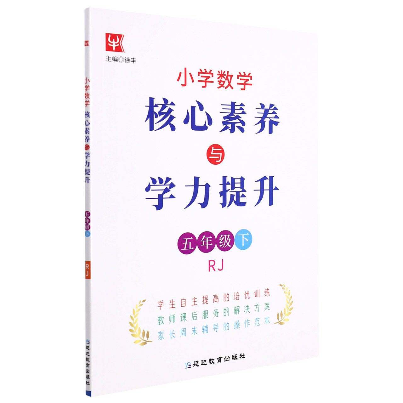 小学数学核心素养与学力提升（5下RJ）