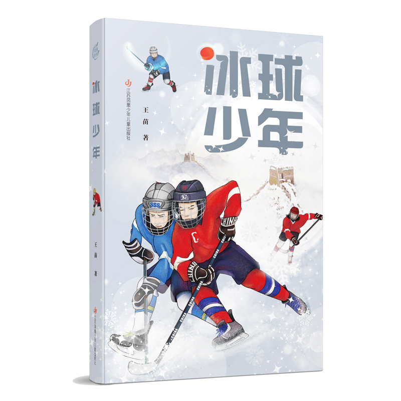 冰球少年