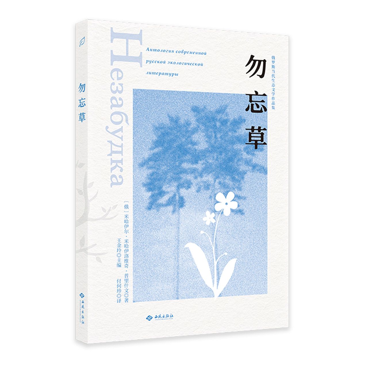 勿忘草