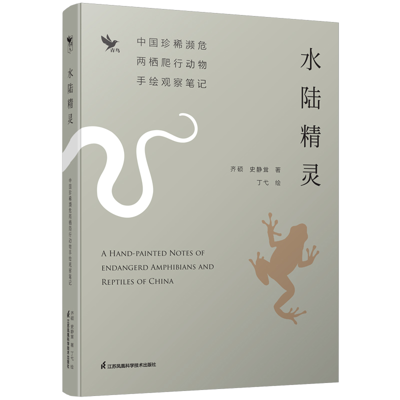水陆精灵