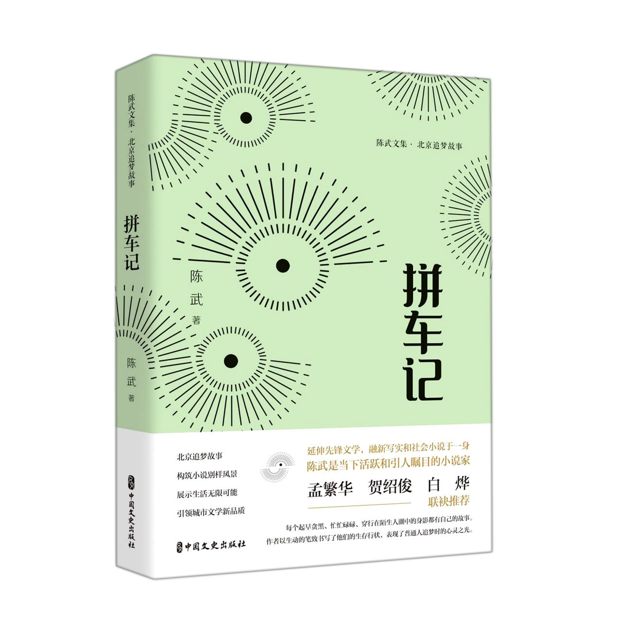 拼车记(陈武文集·北京追梦故事)