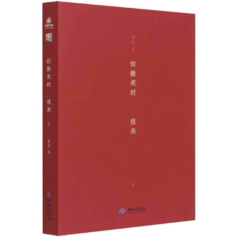 你微笑时很美(5)