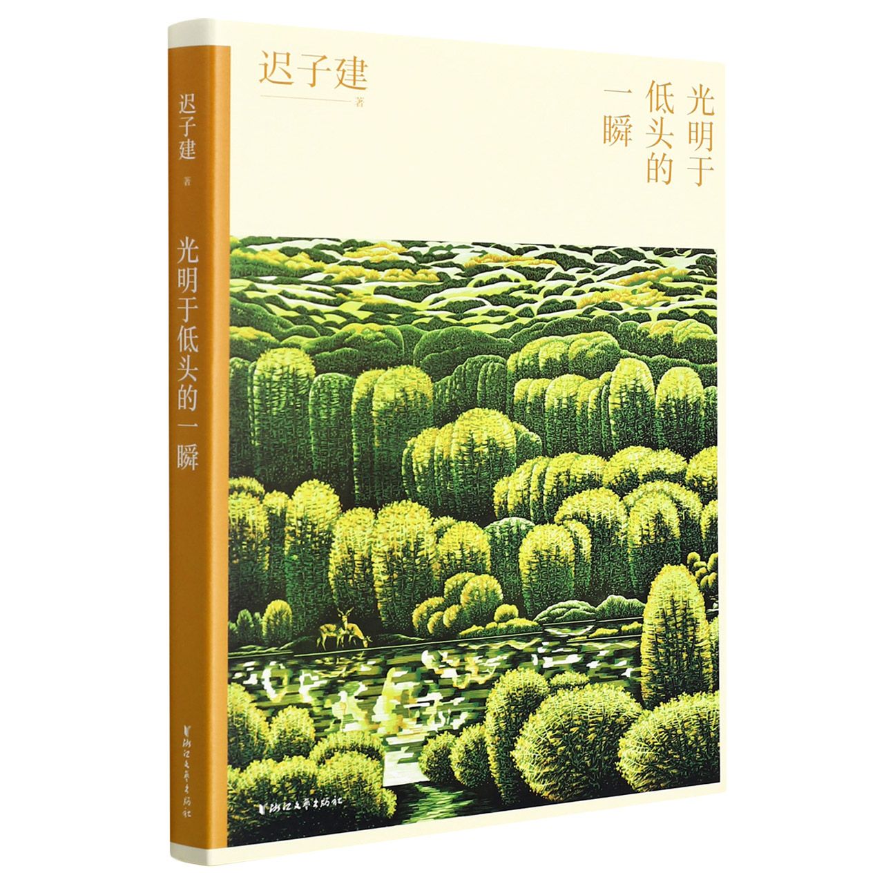 光明于低头的一瞬