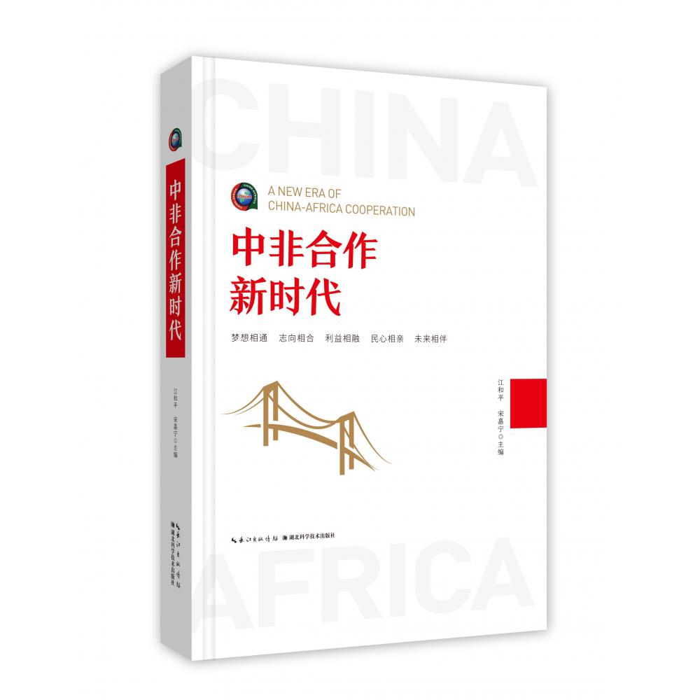 中非合作新时代