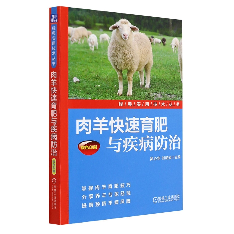 肉羊快速育肥与疾病防治