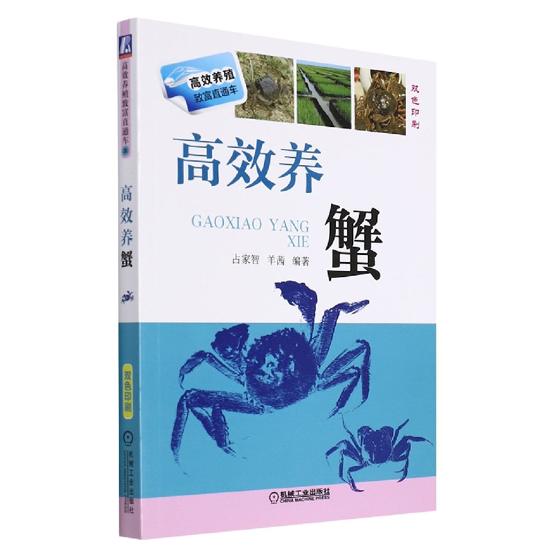 高效养蟹