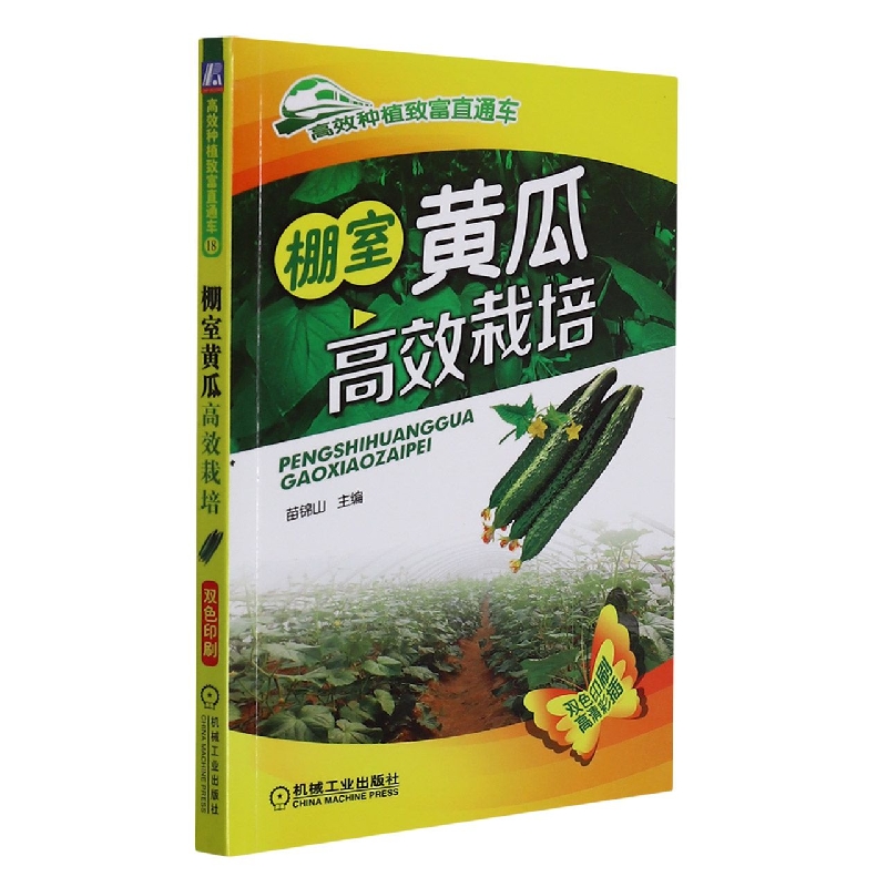 棚室黄瓜高效栽培