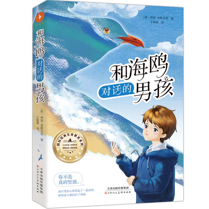和海鸥对话的男孩
