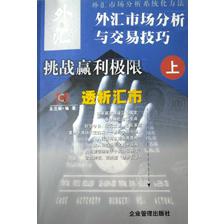 外汇市场分析与交易技巧（上下）