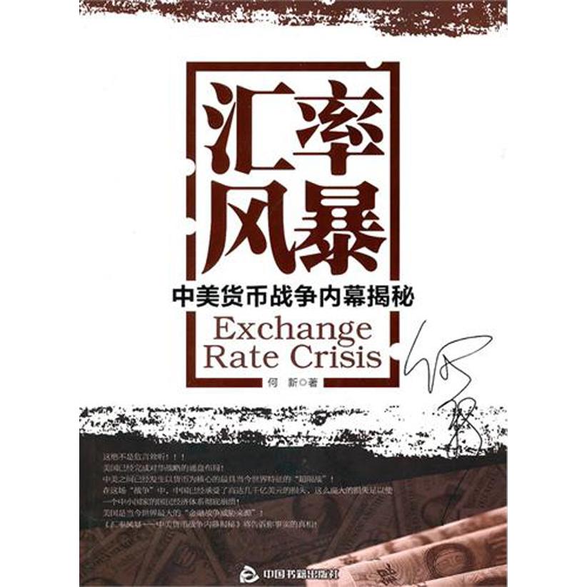 汇率风暴（中美货币战争内幕揭秘）