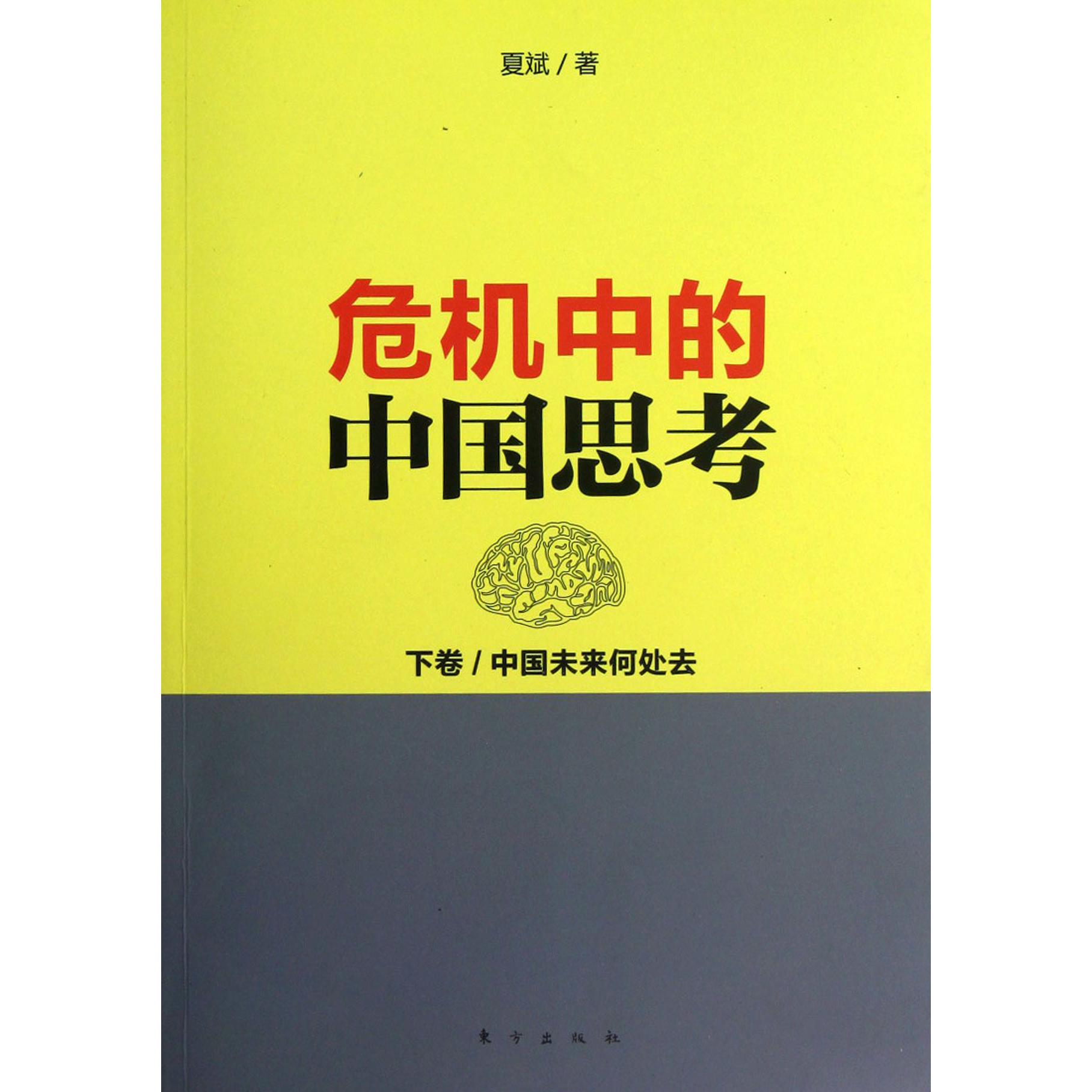 危机中的中国思考（下中国未来何处去）