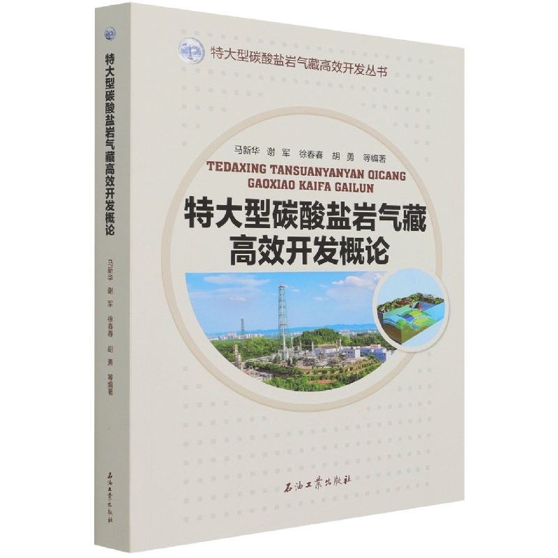 特大型碳酸盐岩气藏高效开发概论/特大型碳酸盐岩气藏高效开发丛书