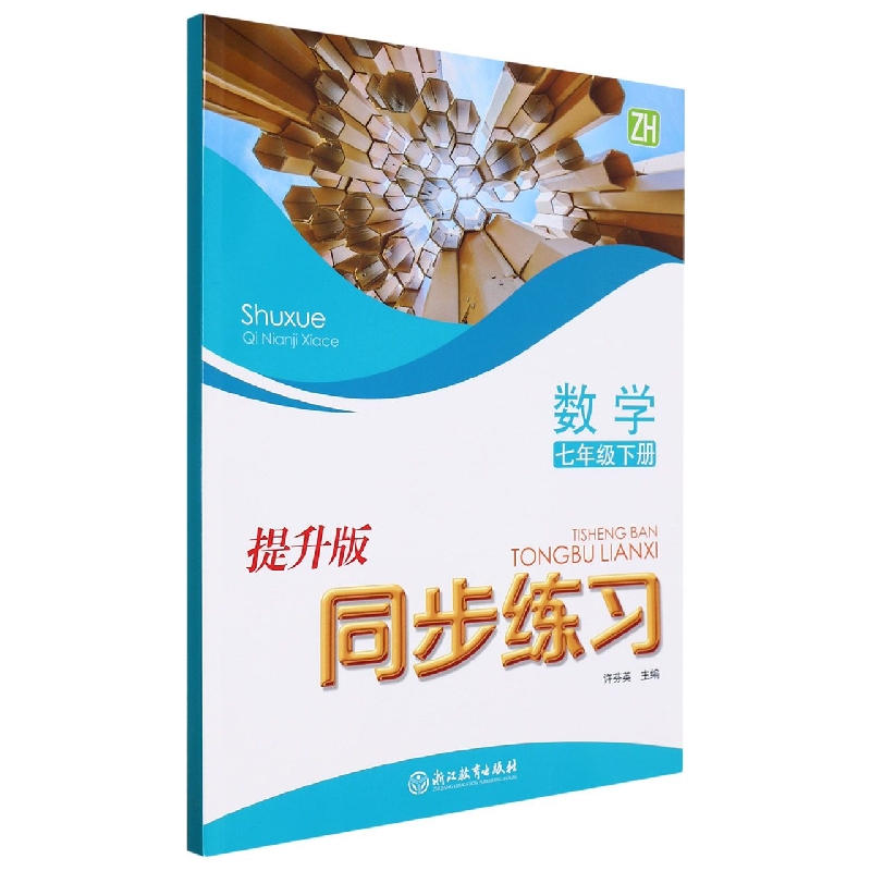 数学同步练习(7下ZH提升版)